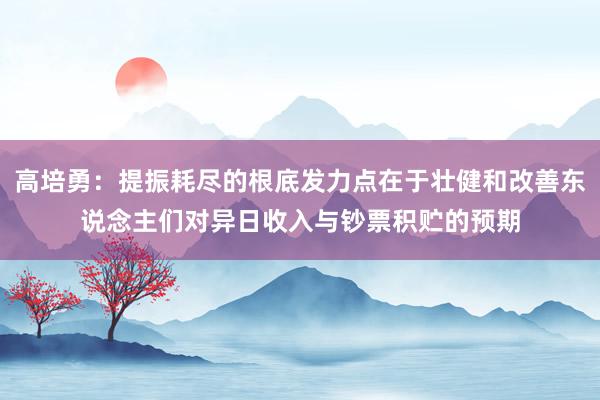 高培勇:提振耗尽的根底发力点在于壮健和改善东说念主们对异日收入与钞票积贮的预期